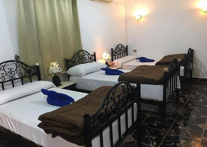 Dahab Home Bed&Breakfast Oda ve Kahvaltı 3*