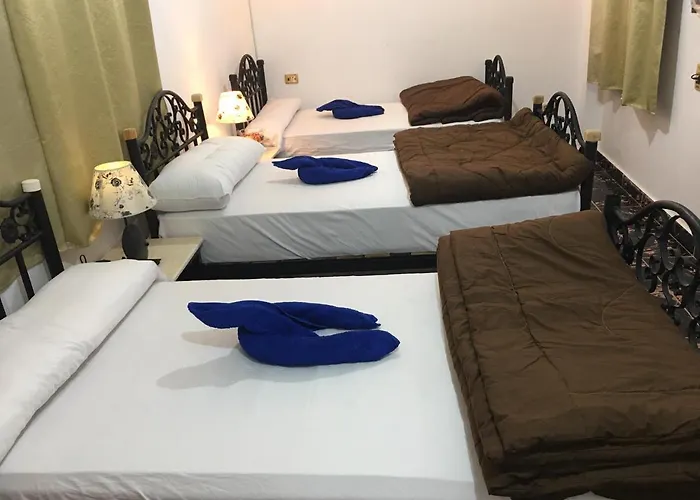 Dahab Home Bed&Breakfast Oda ve Kahvaltı Dahab